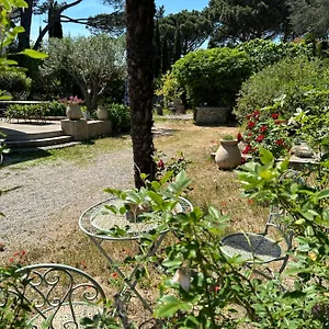  Appartement Magnifique Tropezien A 300 M De La France